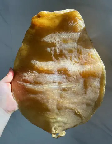 德国深海鳕鱼胶原蛋白(什么牌子的胶原蛋白美容效果好啊？)